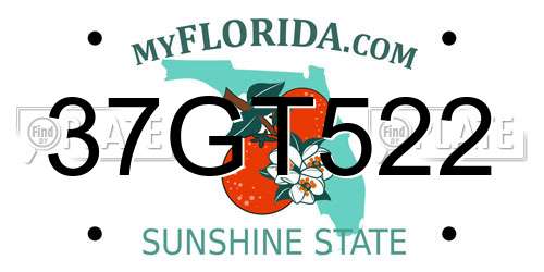 37GT522 Florida License Plate