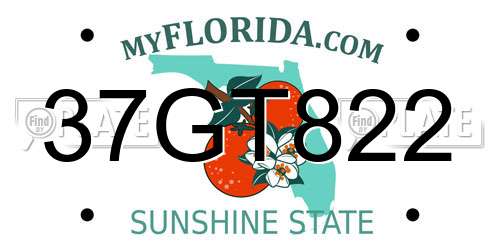 37GT822 Florida License Plate