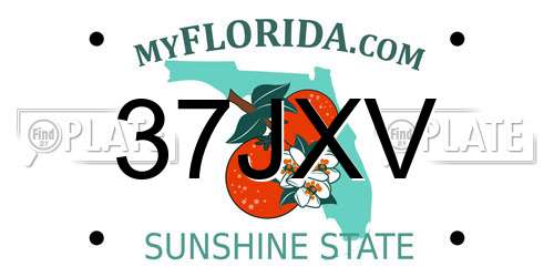 37JXV Florida License Plate