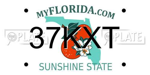 37KXT Florida License Plate