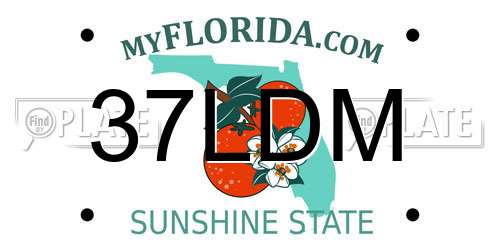 37LDM Florida License Plate