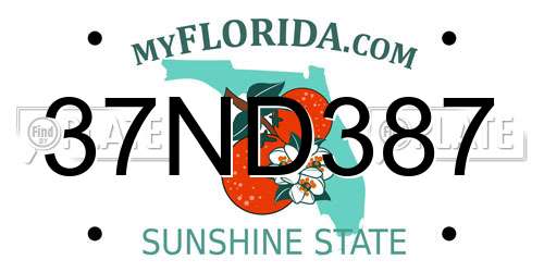 37ND387 Florida License Plate
