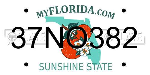 37NO382 Florida License Plate