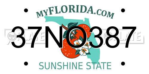 37NO387 Florida License Plate