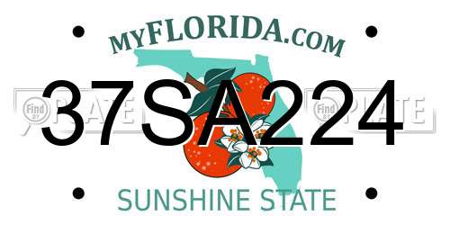 37SA224 Florida License Plate