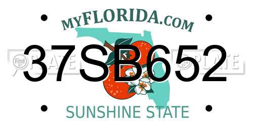 37SB652 Florida License Plate