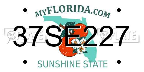 37SE227 Florida License Plate