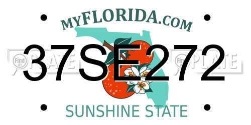 37SE272 Florida License Plate