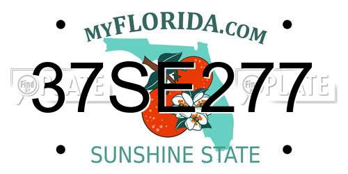 37SE277 Florida License Plate