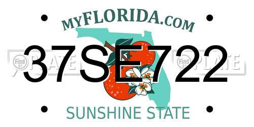 37SE722 Florida License Plate