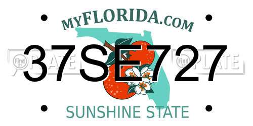 37SE727 Florida License Plate