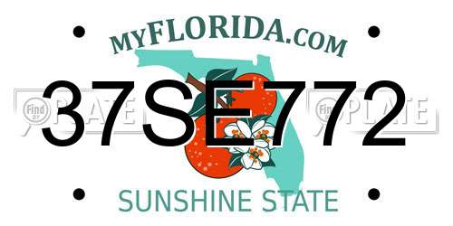 37SE772 Florida License Plate
