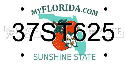 37ST625 Florida License Plate