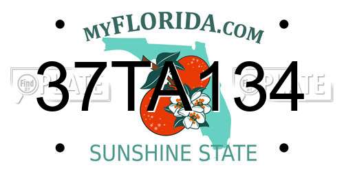 37TA134 Florida License Plate