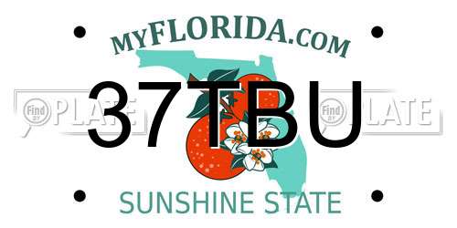37TBU Florida License Plate