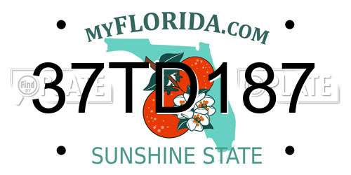 37TD187 Florida License Plate