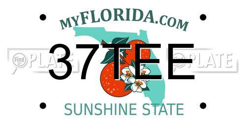 37TEE Florida License Plate