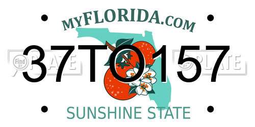 37TO157 Florida License Plate