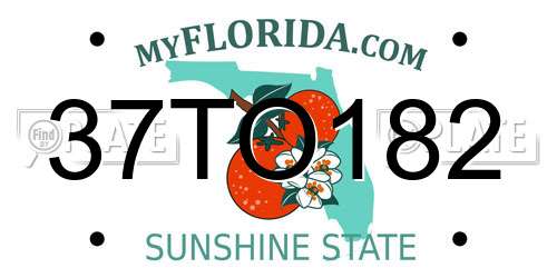 37TO182 Florida License Plate