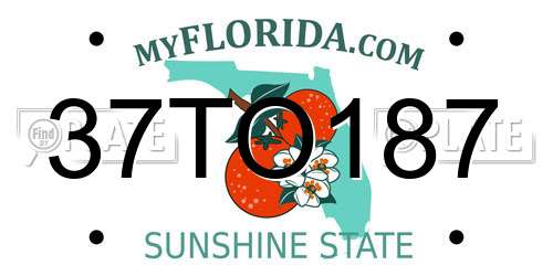 37TO187 Florida License Plate