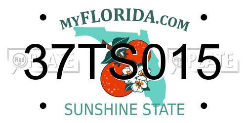 37TS015 Florida License Plate