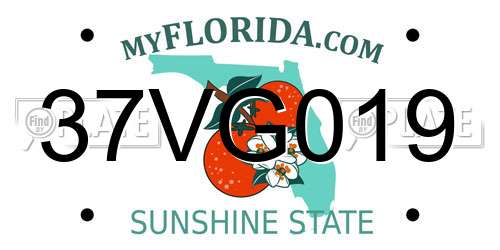37VG019 Florida License Plate