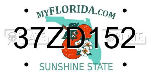 37ZD152 Florida License Plate