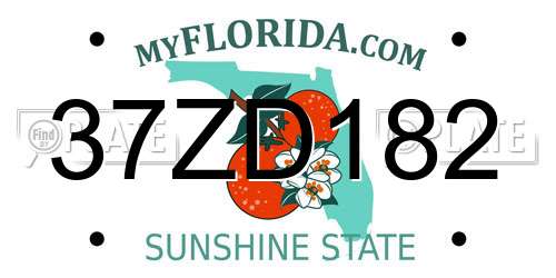 37ZD182 Florida License Plate