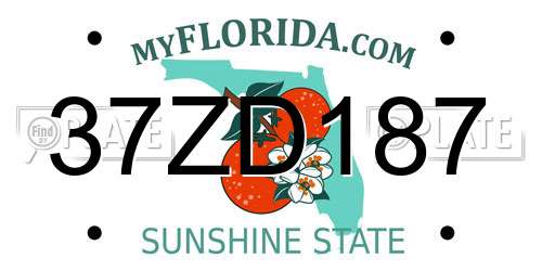 37ZD187 Florida License Plate