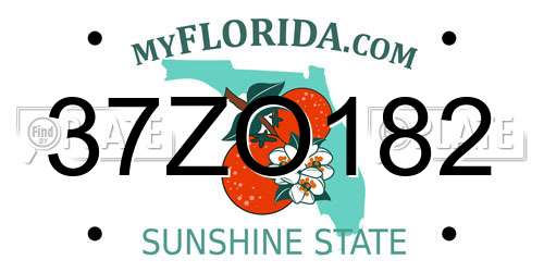 37ZO182 Florida License Plate