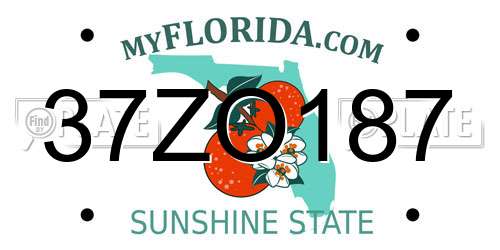 37ZO187 Florida License Plate