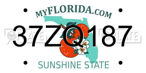 37ZQ187 Florida License Plate