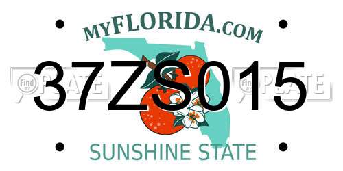 37ZS015 Florida License Plate