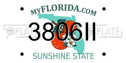 3806II Florida License Plate