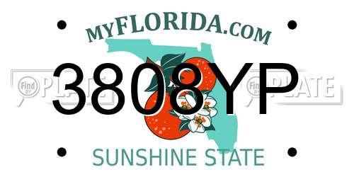 3808YP Florida License Plate