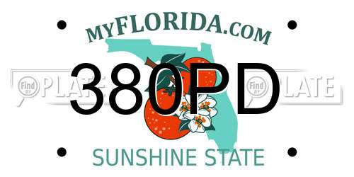 380PD Florida License Plate