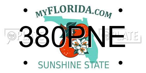 380PNE Florida License Plate