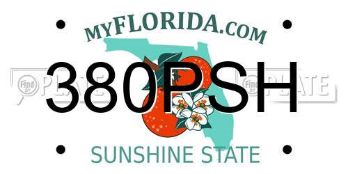 380PSH Florida License Plate