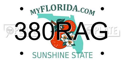 380RAG Florida License Plate