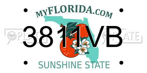 3811VB Florida License Plate