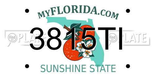 3815TI Florida License Plate