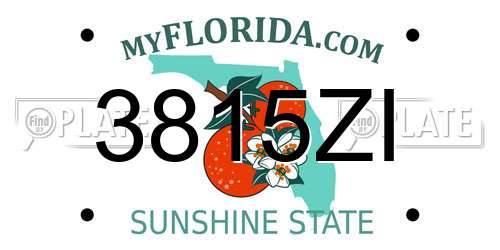 3815ZI Florida License Plate