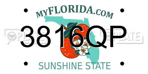 3816QP Florida License Plate