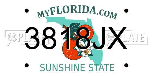 3818JX Florida License Plate