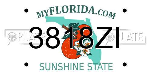 3818ZI Florida License Plate