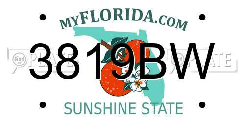 3819BW Florida License Plate