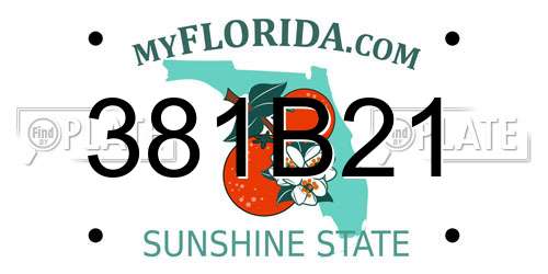 381B21 Florida License Plate