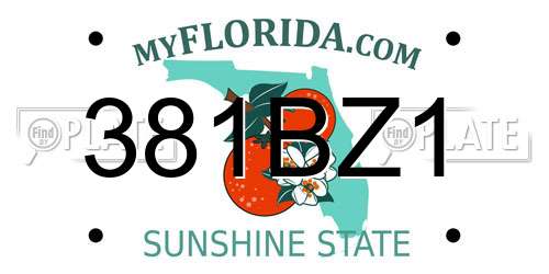 381BZ1 Florida License Plate