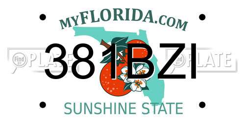 381BZI Florida License Plate
