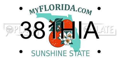 381HIA Florida License Plate